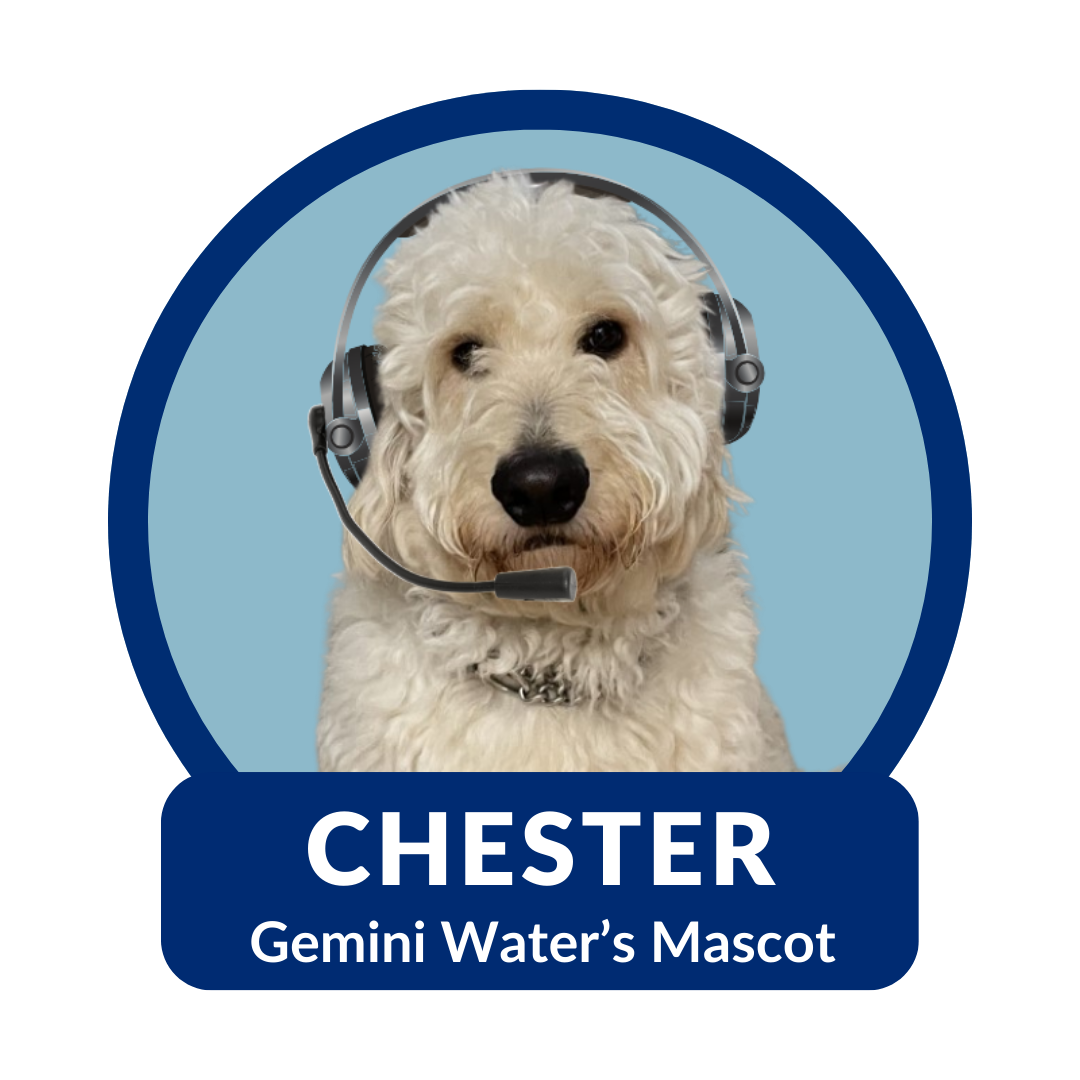Chester the dog mascot wearing headphones